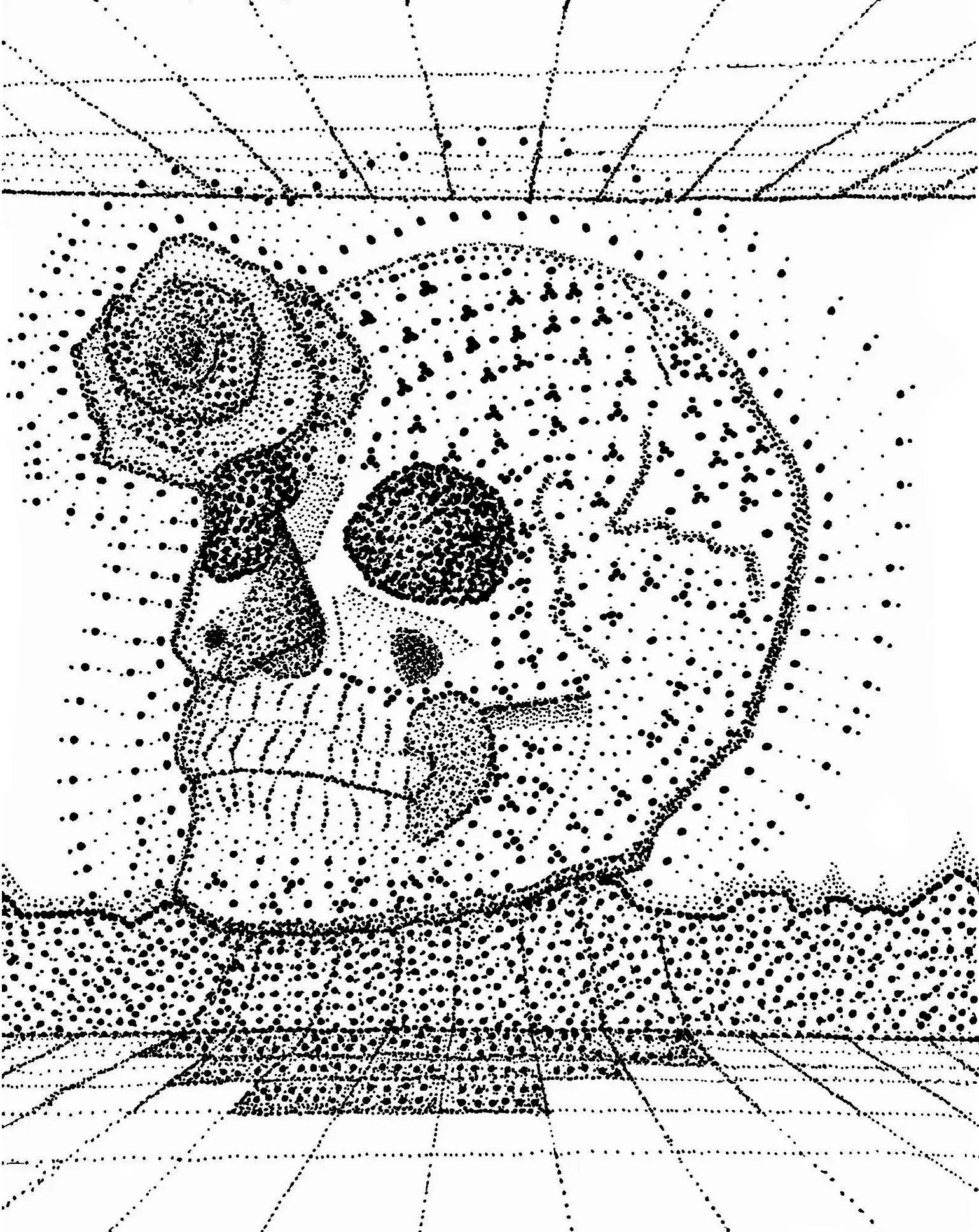 Skelé, original